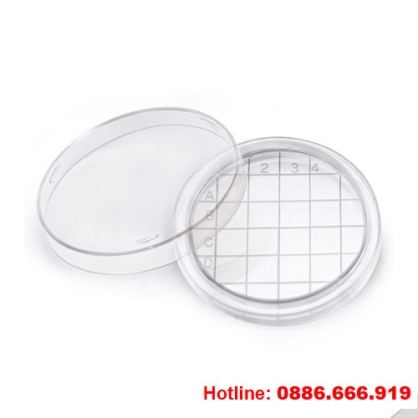 Đĩa petri có khung, nhựa PS, 65 x 15mm, Daihan Korea