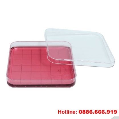 Đĩa petri hình vuông, 125x125mm, có chia ô, Wisd Korea