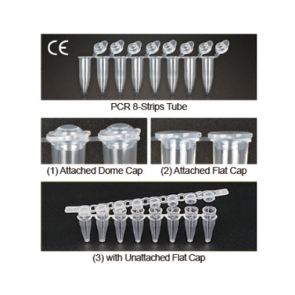 Ống PCR 0.2ml 8-Strips Hàn Quốc Wisd